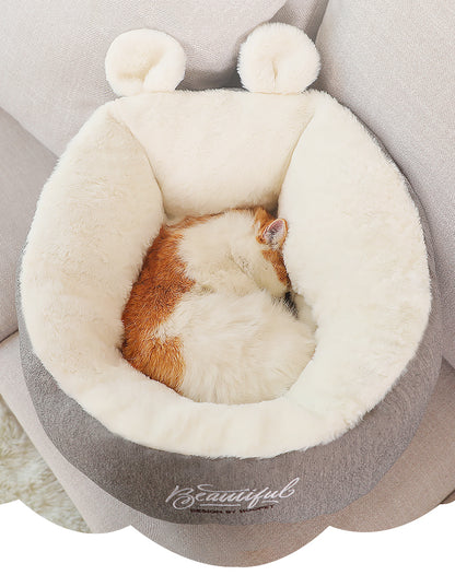 cfc254646521c00b86894e38ca5782c3