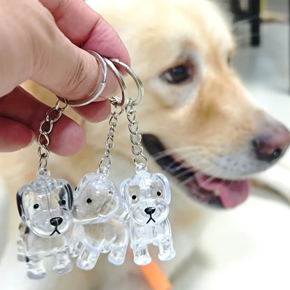 愛犬・愛猫といつでも一緒、透明ペット毛メモリアルキーホルダー