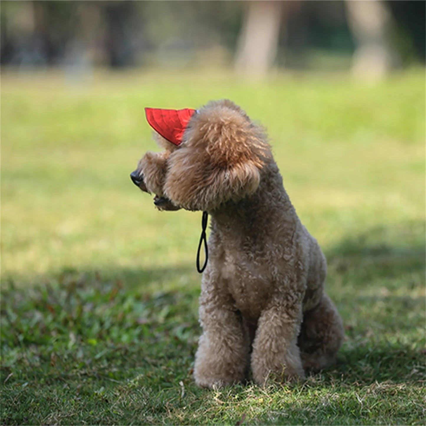犬用キャップ 耳穴付き 調整可能 紫外線対策