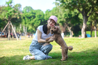 犬用キャップ 耳穴付き 調整可能 紫外線対策