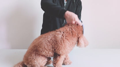 犬用キャップ 耳穴付き 調整可能 紫外線対策